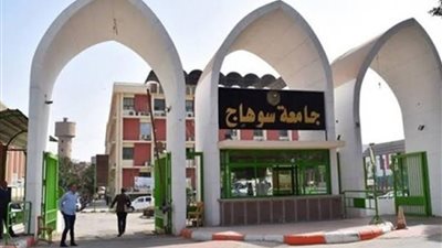 جامعة الطفل بجامعة سوهاج تبدأ المرحلةالسابعةبمحاضرة ريادة الأعمال