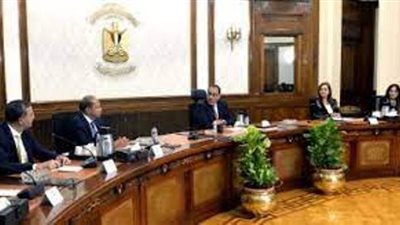 مدبولى يلتقى رئيس مجلس إدارة 