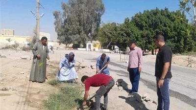زراعة أشجار مثمرة وأخرى للزينة بمركزي سمالوط ومطاي