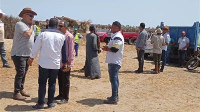 جهاز دمياط الجديدة يشن حملة لإزالة مخالفات البناء بهذه الأماكن