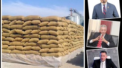 خبراء: انفراجة في أزمة الحبوب والأسمدة لدول القارة