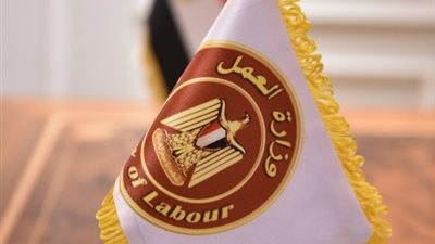 وزارة العمل تسترد 740 ألف جنيه مستحقات لورثة مصريين بالسعودية