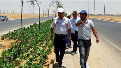 الإسكان: استكمال تطوير الطرق ومداخل مدينة بدر ضمن خطة شاملة
