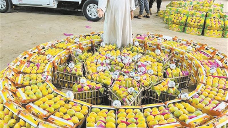 بوابة الجمهورية