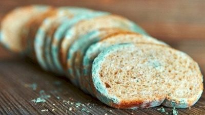 طريقة بسيطة لمنع تعفن الخبز