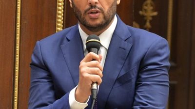 محمد حلاوة:تطابق رؤى السيسي ومحمد بن زايد يحقق الازدهار للشعبين