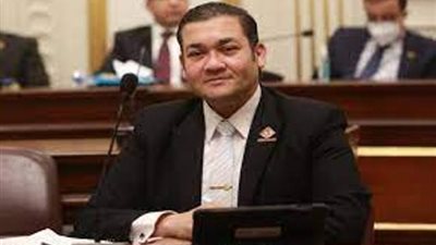 أهمية الحوار الوطني في طرح حلول لمشاكل الدولة المصرية.. فيديو