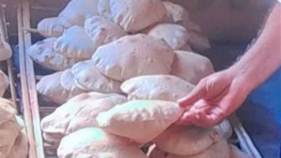 تحرير 74 محضرا تموينيا متنوعا في الإسماعيلية