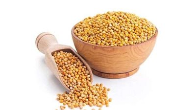 5 فوائد تحصل عليها عند اضافة الخردل للدجاج