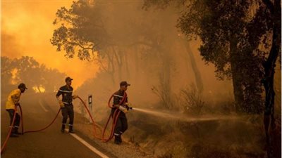 استنفار في المغرب عقب اندلاع حريق غابات مهول بإقليم تازة