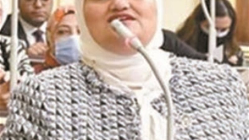 النائبة سناء السعيد