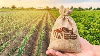 البنك الزراعي يقدم قروض للمزارعين بفائدة 5% مدعمة.. فيديو