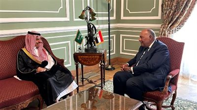 وزير الخارجية يبحث مع نظيره السعودي مختلف القضايا الإقليمية