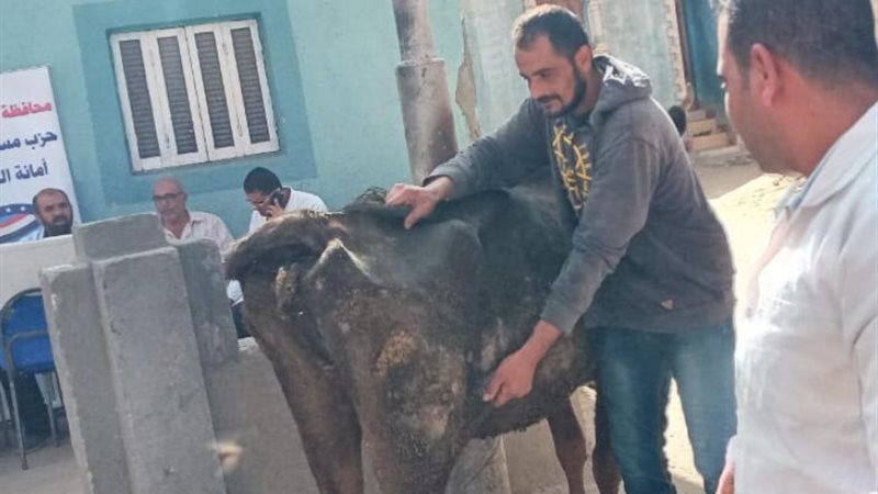 بوابة الجمهورية