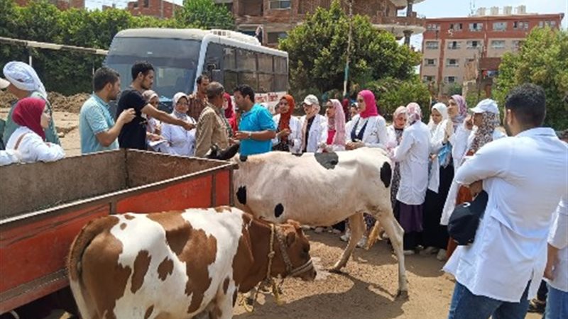 جامعة بنها تنظم قافلة