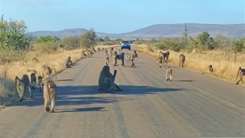 لقطة من فيديو الواقعة