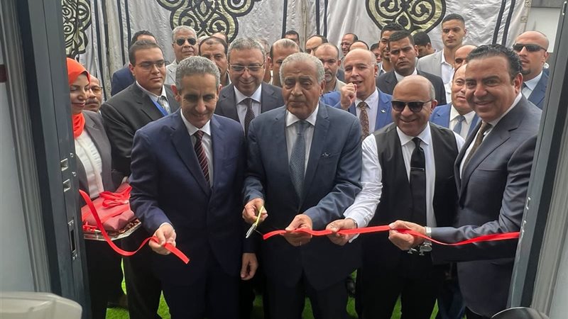 الدكتور على المصيلحى