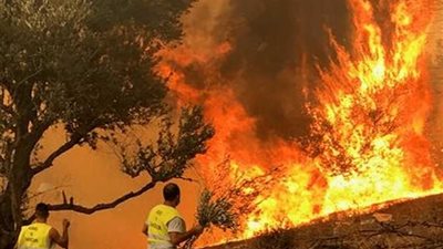حرائق هاواي .. 1050 شخصا مفقود بأحدث إحصائية