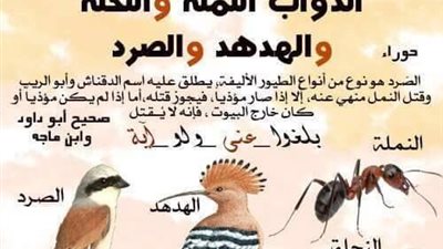 النمل نهى عن قتله النبىﷺولكن بشرط بينه العلماء