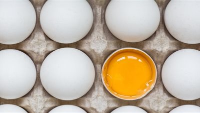 5 اسباب لفساد البيض فى المنزل