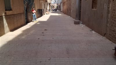 محافظ أسيوط: الانتهاء من تركيب بلاط الانترلوك بـ 22 شارع بالقوصية