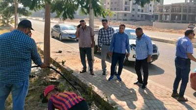 نبأ سار من رئيس جهاز الشروق بشأن الزراعة والتجميل فى المدينة /صور