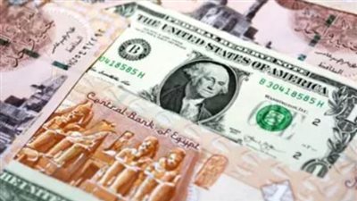 استقرار أسعار صرف الدولار مقابل الجنيه المصري