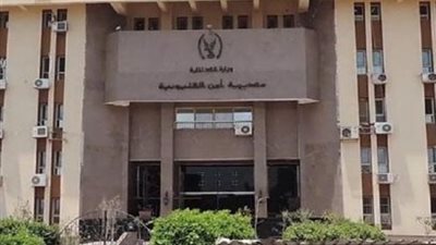 كشف غموض سرقة سيارة نقل تابعة لشركة الكهرباء بالقليوبية