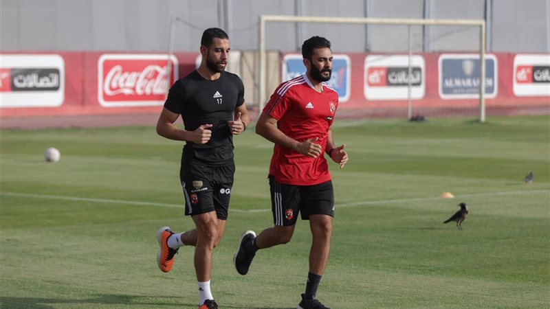 عمرو السولية