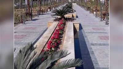 رئيس مدينة الغردقة :شركة لصيانة وتأمين المماشي بالمدينة