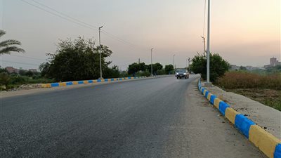 تجميل مدخل مدينة الإسماعيلية..صور