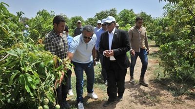 عبد الوهاب:تشجيع الاستثمارات الخضراء في أراضي الريف المصرى الجديد