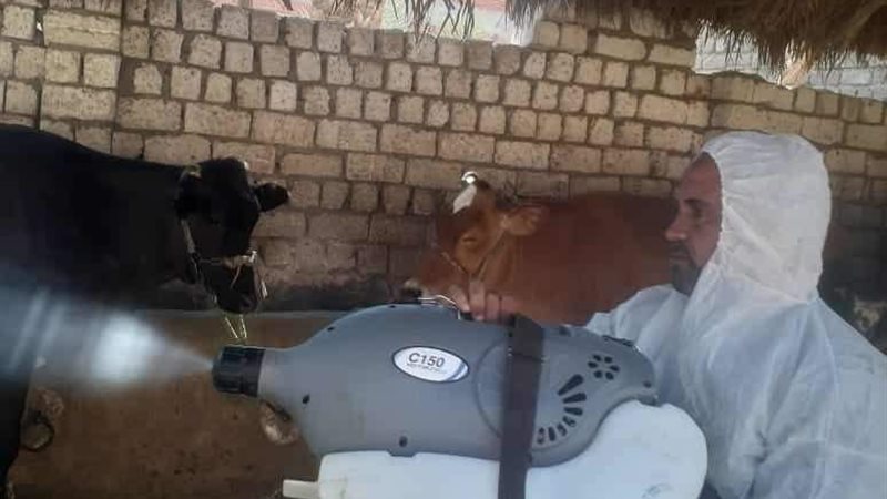 بوابة الجمهورية