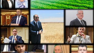 أعضاء مجلسي النواب والشيوخ: إضافة الـ 3 ملايين فدان.. ضربة معلم