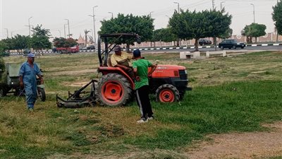 تطوير وتجميل ميادين الإسماعيلية