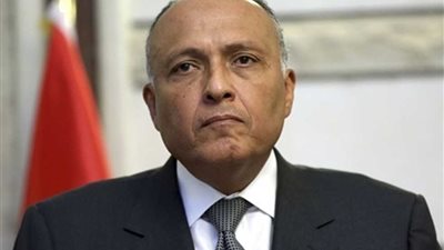 العلاقات « المصرية ـ الفرنسية ».. تاريخية وإستراتيجية