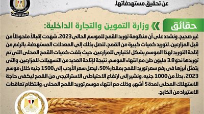 الحكومة تنفى عجز منظومة توريد القمح المحلي لموسم 2023 عن تحقيق مستهدفاتها