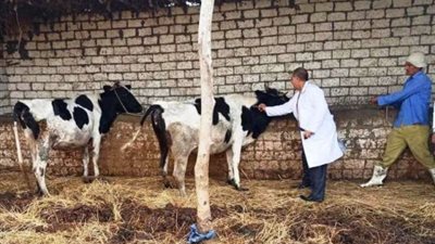 قافلة طبية بيطرية مجانية بقرية صفط زريق في الشرقية