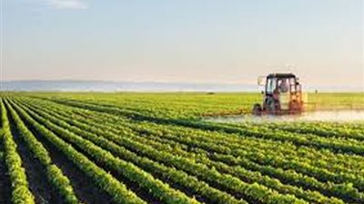 التنمية الزراعية: مصر تستهدف دخول 4 مليون فدان إلى القطاع الزراعي