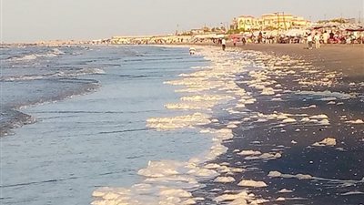 شواطئ بورسعيد تشهد عددًا من الظواهر الطبيعية.. ما السبب ؟