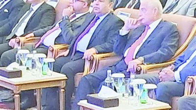 وزير المالية فى ملتقى «شرم الشيخ للتأمين وإعادة التأمين»: تعظيم الشراكة مع القطاع الخاص.. فى مد مظلة التغطية الصحية الشاملة لكل المصريين
