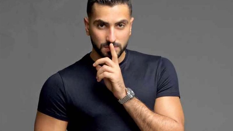 الفنان محمد الشرنوبى