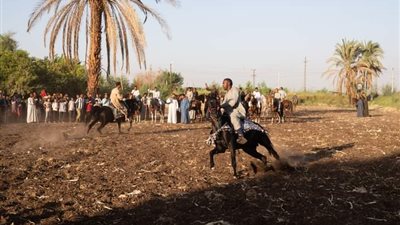 قرية الشيخ عبد الباسط بالأقصر تحتفل بالمولد النبوى بحلقات الذكر