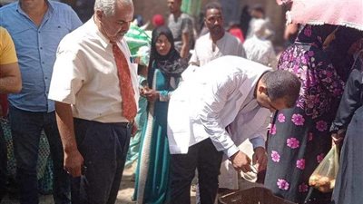 ضبط مخزن أدوية لإدارته بدون ترخيص وتحرير53 محضرا متنوعا فى المنيا