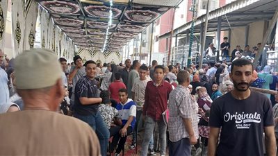 زحام بالمنوفية لتوثيق توكيلات تأييد ترشيح الرئيس