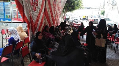 أعضاءمستقبل وطن بالزقازيق يوثقون توكيلات ترشيح للرئيس