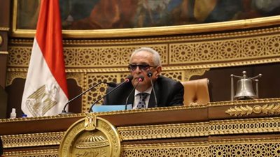 مجلس الشيوخ يفتتح دور الانعقاد الرابع