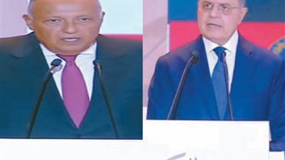 السياسة الخارجية.. تخدم المواطن المصري