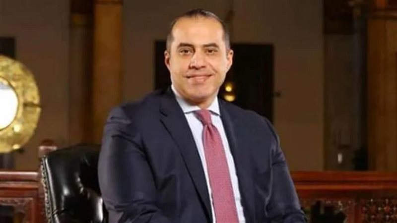 المستشار محمود فوزى