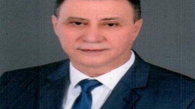 المهيرى:تدخلكم السافر مرفوض ومصر لاتنظر الى الاناء الفارغ